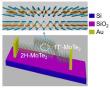 Ultra-Sensitive Multi-Band Infrared Polarization Photodetector Based on 1T'-MoTe2/2H-MoTe2 van der Waals Heterostructure