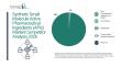 Synthetic Small Molecule APIs Market Landscape: Strategic Competition Across Key Regions and Segments