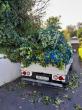 Same-Day Garden Waste Removal in Cape Town Service Expanded Across Suburbs
