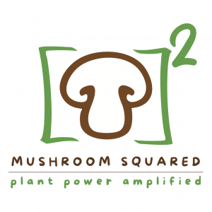 Mushroom Squared CORRECT LOGO