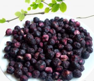  Freeze-Dried Fruit Companies 1