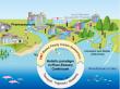 Hong Kong’s Waters at Risk from Over-the-Counter (OTC) Drug Pollution
