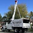 $1,000 Quarterly Giveaway For Tree Care In Grand Rapids, MI Area Launched By Big Chipper Tree Service