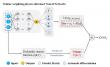 Teaching neural networks where errors matter