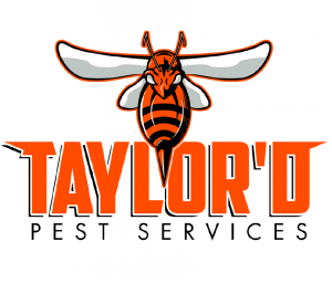 St. Augustine Pest Control