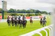 Inspiring Line-Up of Riders Announced for 2026 Markel Magnolia Cup at Goodwood Supporting Education Above All Foundation