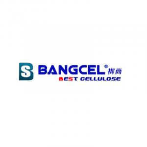 logo for BANG SHANG INTERNATIONAL CO.,LIMITED