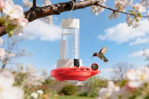 The Birdfy Hum Feeder Duo captures every shimmer of hummingbirds.