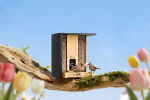 The Birdfy Feeder Bamboo is an eco-friendly, solar-powered gift for every nature-loving mom.