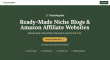 NicheBlogHub Launches Marketplace for Ready-Made Amazon Affiliate Websites at $199