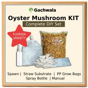 Oyster Mushroom Complete DIY Kit