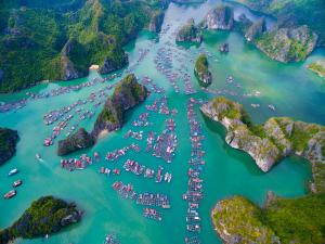 Halong Vietnam