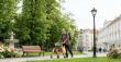 VOCIC Releases a Rollator Walker That Transforms for Travel 