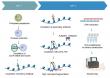 fCUT&Tag-Seq: High-resolution profiling of histone modifications and chromatin-binding protein distribution in fungi