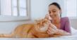AAHA Releases 2026 Feline Diabetes Management Guidelines, Highlighting New Drug Class and Monitoring Advances 