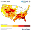 Drought Conditions Elevate Urgency for Reduce Your Lawn Day Movement