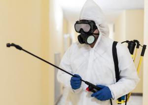 pest control service Gold Coast