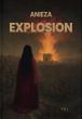 'The Explosion' by Anieza Is Now Available, Sharing a Story of a Mother’s Search in a Changed World