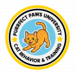 Nicole Kohanski Becomes ABC Certified Cat Trainer, Launching Feline Services at Purrfect Paws University