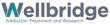 Wellbridge's Center for Addiction Science Advances Evidence-Based Care