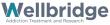 Wellbridge: Continuing to Strengthen Their Response to Prescription Drug Addiction