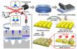 Curvature-optimized multilevel SERS substrates formed by femtosecond laser shaping based on electrons dynamics control