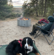 The Dyrt Finds That Spouses and Dogs are Most Common Camping Companions