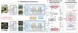Rotation-tolerant remote sensing captioning