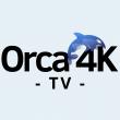 Orca 4K TV Launches Premium 4K Streaming Service for Worldwide Cord-Cutters