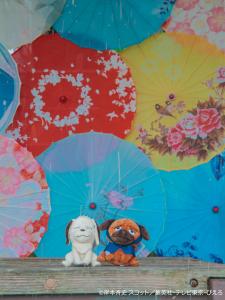 24843373 naruto japanese umbrella illumi