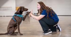 The Academy of Pet Careers (APC), a national trade school for pet care education, has signed onto the International Association of Animal Behavior Consultant's (IAABC) Joint Standards of Practice (JSOP) apc is a member of IAABC and a signatory of JSOP