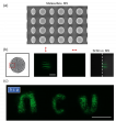 Scientists Develop High-Efficiency Infrared Imaging Using Advanced Silicon Technology