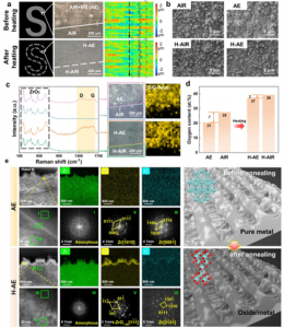 Researchers Develop Next-Generation Encryption Metasurface Using Femtosecond Laser Technique 15 u,iy.,yiuo.uliu