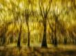 Artist Antonina Minova Transforms Nature Into Abstract Fine Art Through ICM Photography