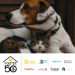 PEDIGREE Foundation Calls on Pet Lovers Nationwide to Foster a Pet this Summer