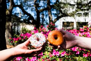 Delicious donuts on the tour