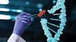 Gene Editing Market Size to Reach US$30.5 Bn by 2033 at 15.6% CAGR | Persistence Market Research