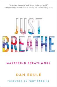 Dan Brule_bookcover_26