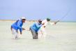 Digital Sportsman Launches DS Guide, a New Online Marketplace for Outdoor Adventures Across the U.S. and Bahamas