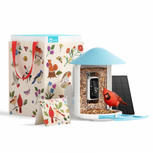Give your nature-loving mom the Birdfy Feeder in a wildlife-inspired gift bag.