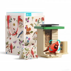 Make her day with the Birdfy Feeder Wood in a wildlife-inspired gift bag.