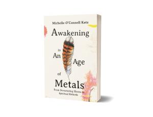 Awakening in an Age of Metals by Michelle O’Connell Katz  cover