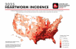 Heartworm Cases Persist Nationwide According to U.S. Heartworm Incidence Survey