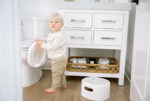 The Milestone 4-in-1 Potty Training System