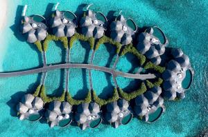 The Nautilus Maldives Aerial