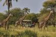 Auberge Collection Announces Auberge Safari