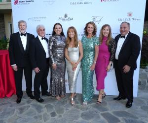 24845879 open hearts foundation board me