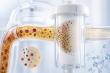 Chicago Physicians Invited to Webinar on Advanced Serial Therapeutic Plasma Exchange: Science, Evidence, and Application
