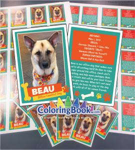 Design your own custom trading cards and turn your creativity into collectible art! These 2.5 x 3.5-inch cards are fully personalized—perfect for showcasing anything from pets and family to sports teams, artwork, or business branding. Each card is printed