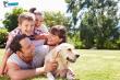 Yosemite Pest & Rodent Solutions Expands Focus on Next-Generation Ecological Precision Pest Control Across Chicagoland